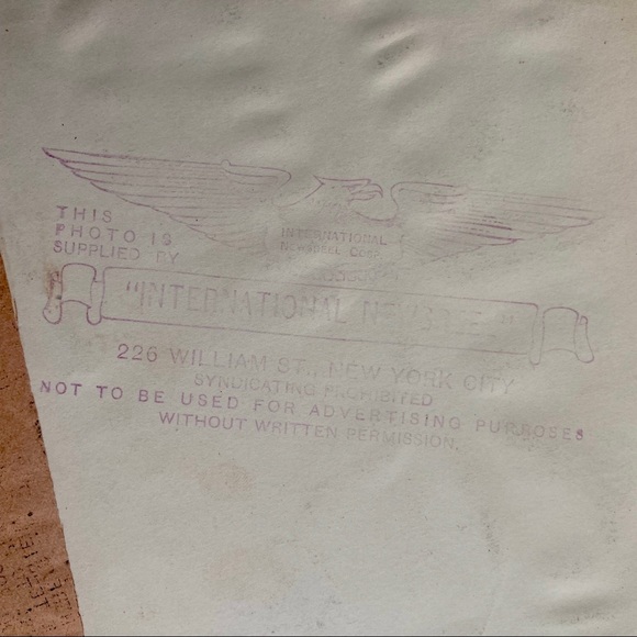 Vintage 1925 Press Photograph Puma in London Zoo - Picture 5 of 5